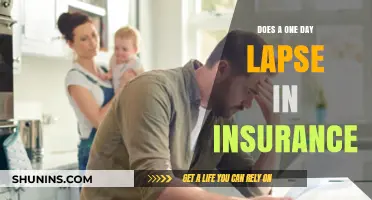 One Day Insurance Lapse: Consequences, Risks, and Quick Solutions Explained