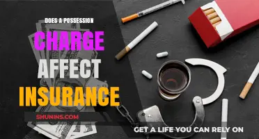 Possession Charges: Impact on Insurance and Your Future