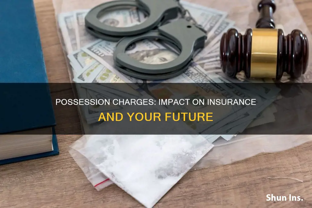 does a possession charge affect insurance