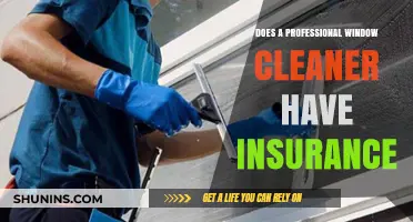 Professional Window Cleaners: Understanding the Importance of Insurance Coverage