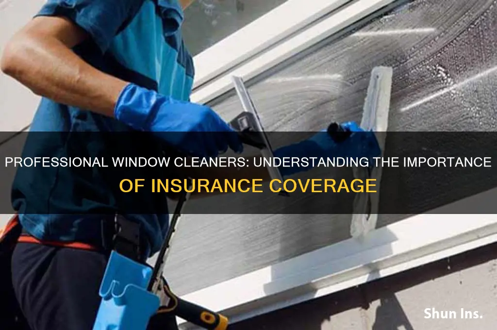 does a professional window cleaner have insurance