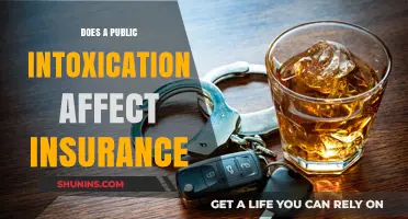 Public Intoxication: Impact on Insurance and Your Wallet