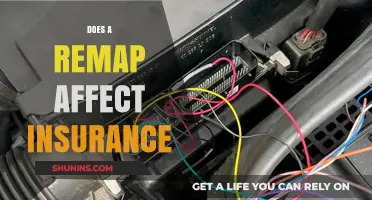 Remap Risks: Insurance Impact and Performance