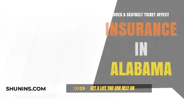 Seatbelt Tickets: Alabama Insurance Impact