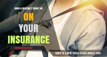 Can Seat Belt Tickets Increase Your Insurance Premiums?