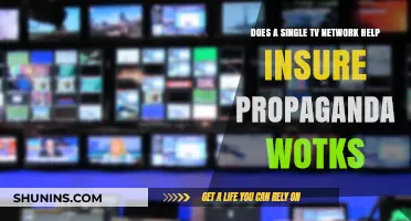Single TV Networks: Effective Tools for Spreading Propaganda?