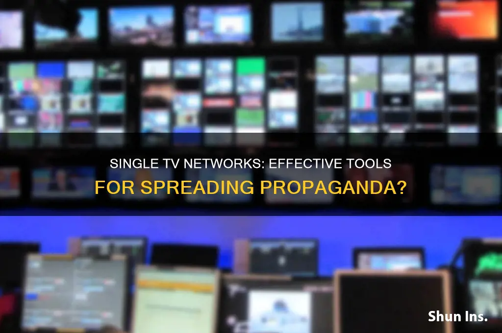 does a single tv network help insure propaganda wotks