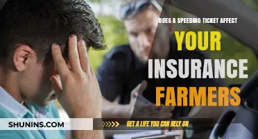 Speeding Tickets: Impact on Insurance Rates and Premiums