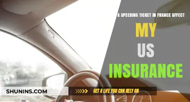 Impact of French Speeding Tickets on US Insurance Policies