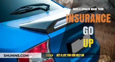 Spoiler Alert: Insurance Rates May Increase After Modifications