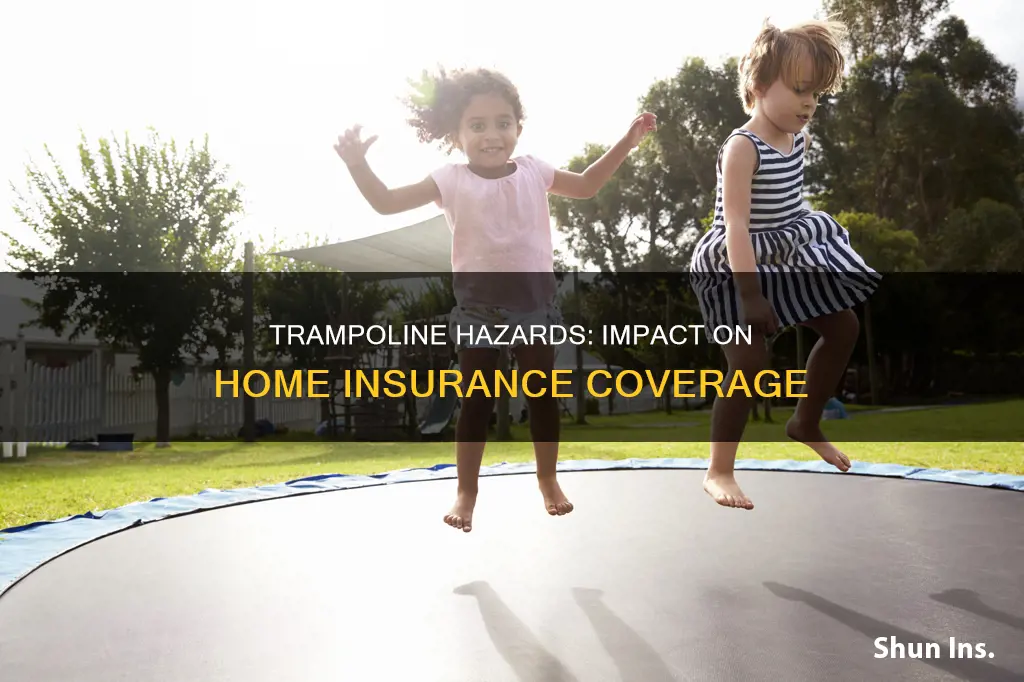 does a trampoline raise homeowners insurance state farm