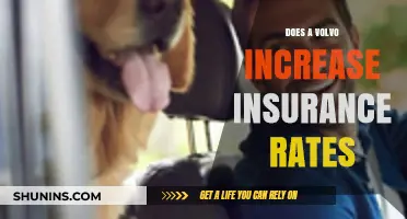 Volvo Insurance Rates: Why They're Higher and What to Do