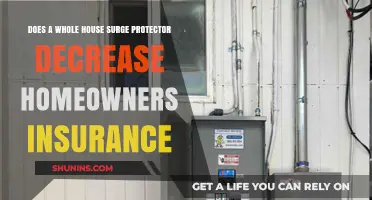 Surge Protectors: Lower Home Insurance Premiums?