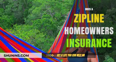 Homeowners Insurance: Does It Cover Zipline Accidents?