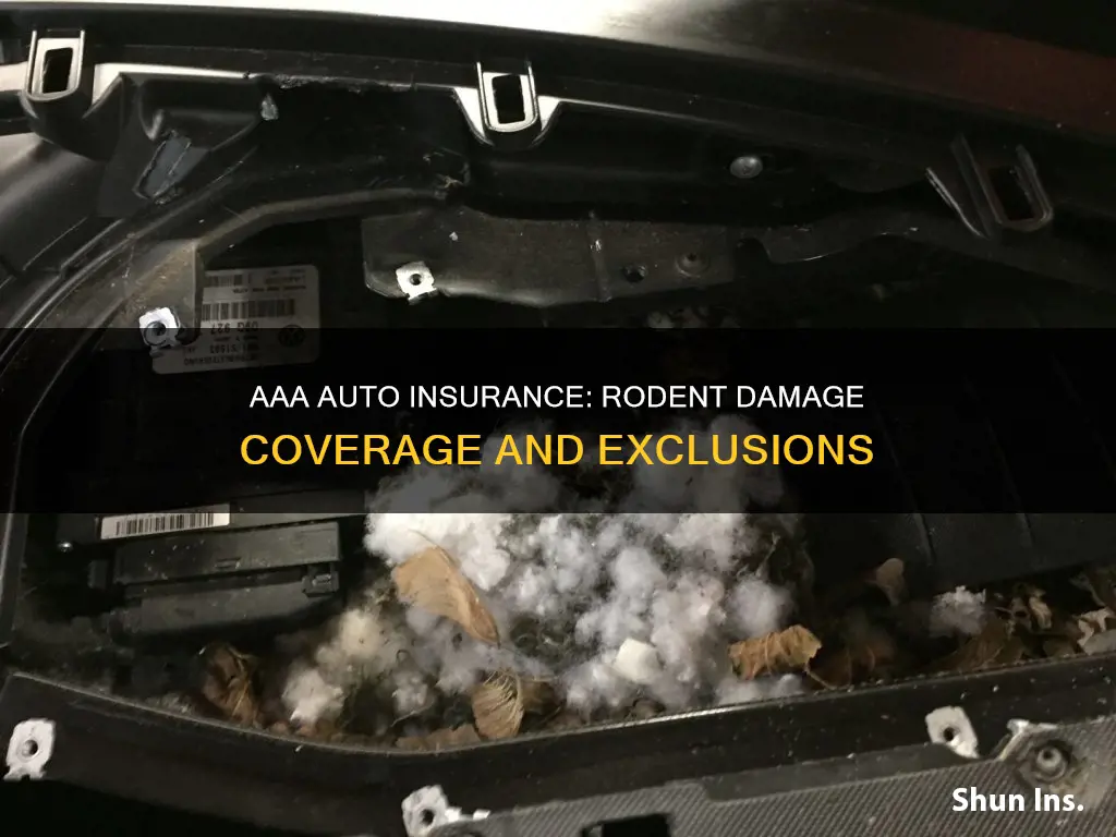 does aaa auto insurance cover rodent damage