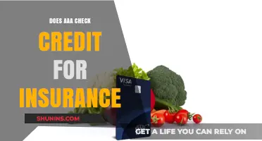 AAA Insurance: Does Credit Score Affect Your Policy?