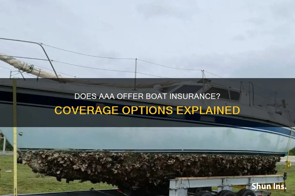 does aaa do boat insurance