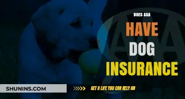 Does AAA Offer Dog Insurance? Exploring Pet Coverage Options