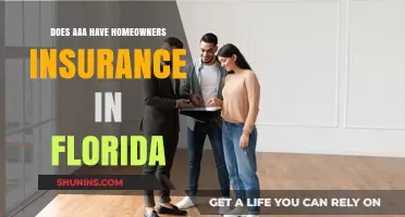AAA's Home Insurance: Florida's Options Explored