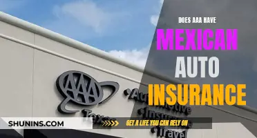 AAA's Mexican Auto Insurance: What You Need to Know