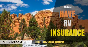 Does AAA Offer RV Insurance? Coverage Options and Benefits Explained
