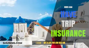 Does AAA Offer Trip Insurance? Exploring Coverage Options for Travelers