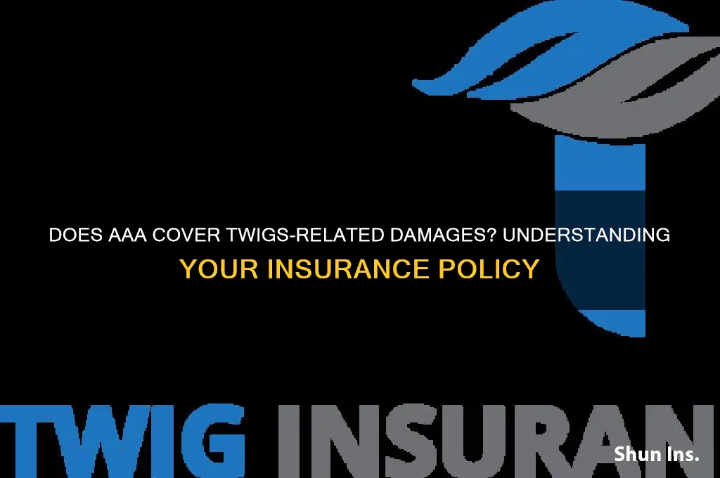 does aaa hold insurance for damages caused by twing