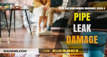 AAA Home Insurance: Does It Cover Pipe Leak Damage?