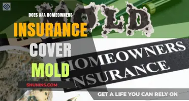 AAA Homeowners Insurance: Does It Cover Mold?