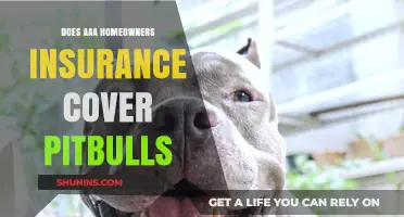 AAA Home Insurance: Pitbull Coverage?