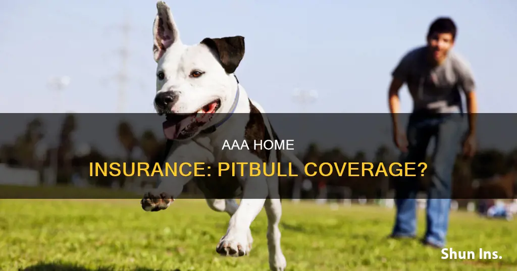does aaa homeowners insurance cover pitbulls