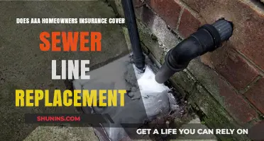 AAA Homeowners Insurance: Sewer Line Replacement Covered?