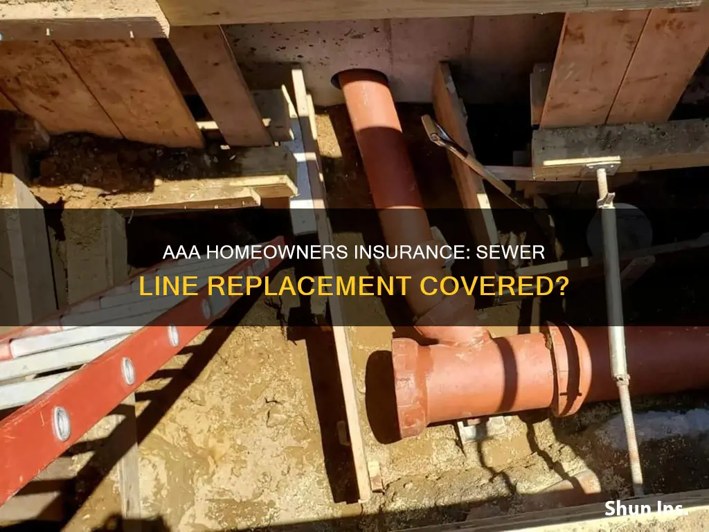 does aaa homeowners insurance cover sewer line replacement