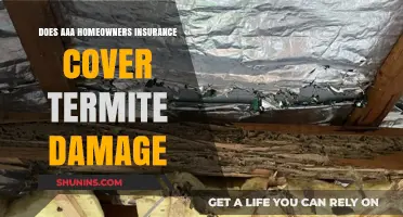 Termite Damage: Is It Covered by AAA Home Insurance?