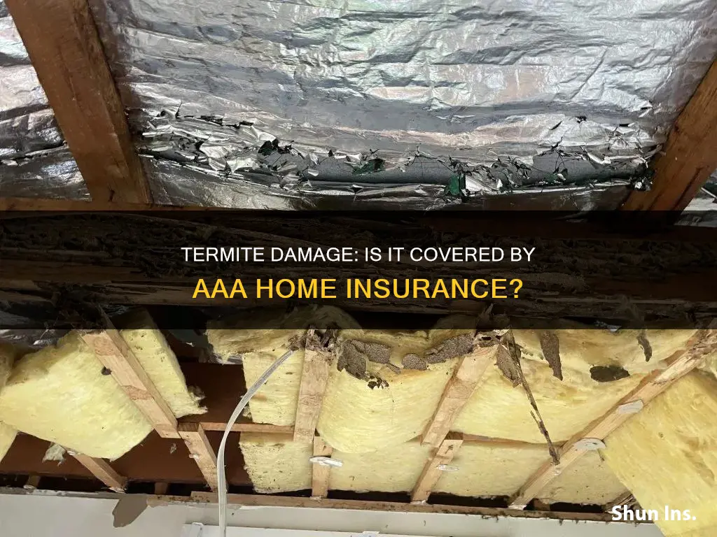 does aaa homeowners insurance cover termite damage