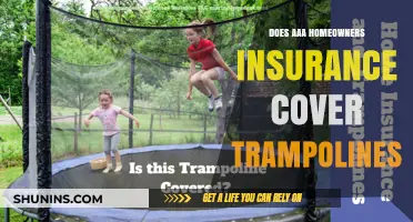 AAA Home Insurance: Trampoline Coverage?