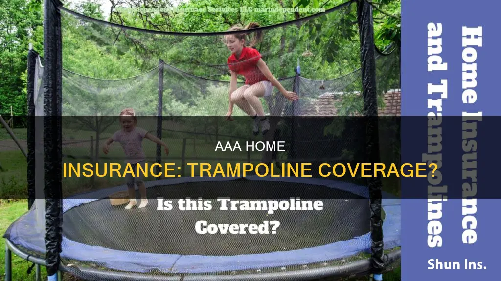 does aaa homeowners insurance cover trampolines