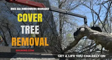 AAA Home Insurance: Tree Removal Covered?