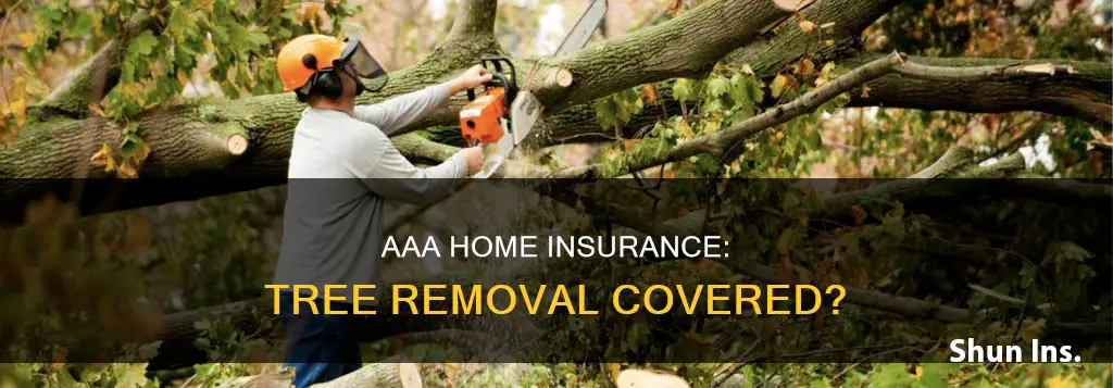does aaa homeowners insurance cover tree removal