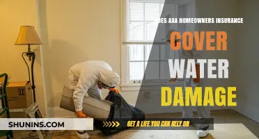 AAA Home Insurance: What Water Damage is Covered?