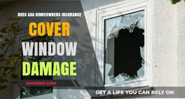 AAA Home Insurance: Window Damage Covered?