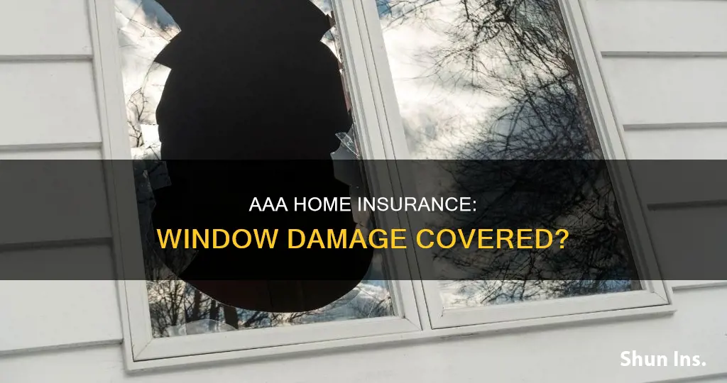 does aaa homeowners insurance cover window damage