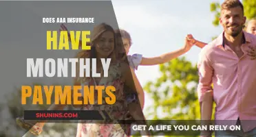 AAA Insurance Payment Plans: Monthly Options?