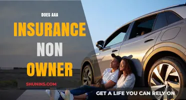 Does AAA Insurance Offer Non-Owner Policies? A Comprehensive Guide