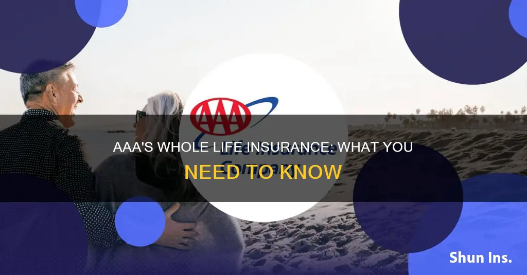 does aaa offer whole life insurance