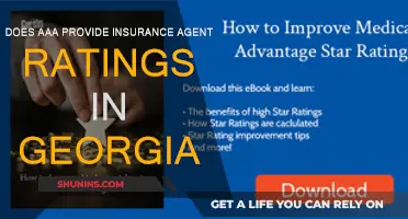 AAA Insurance Agent Ratings in Georgia: What You Need to Know