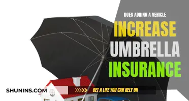 Umbrella Insurance: New Vehicle, New Policy?