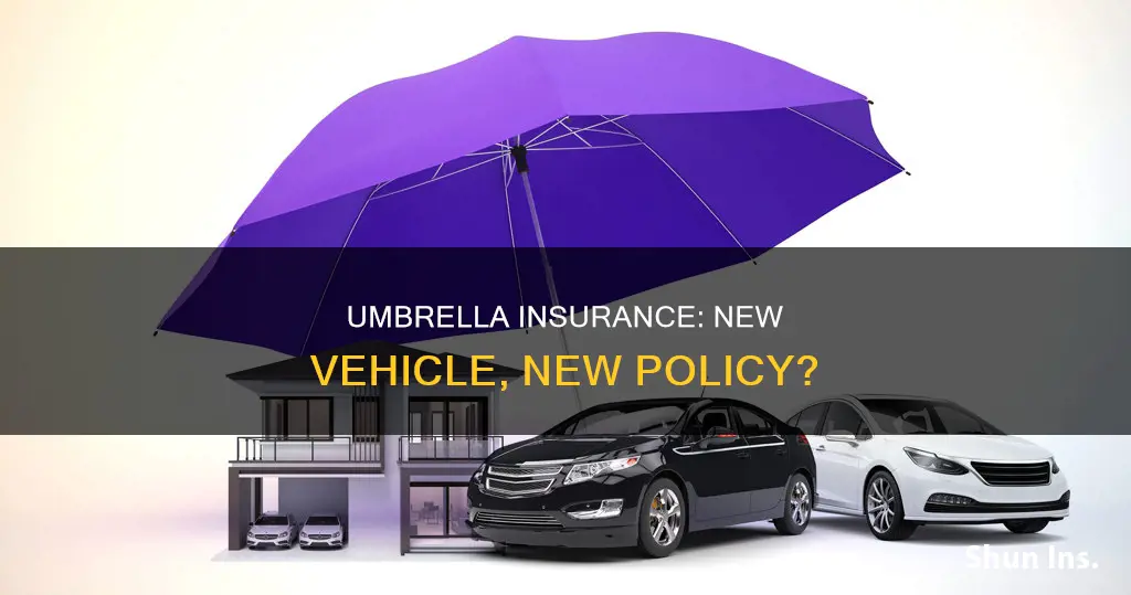 does adding a vehicle increase umbrella insurance