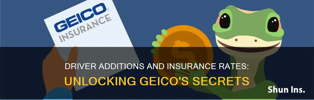 does adding driver increase insurance geico