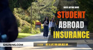 Aetna Student Abroad Insurance: Coverage Options for International Students